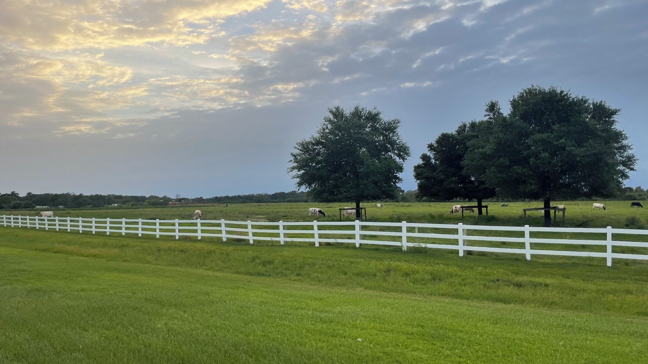 Photo of Others in River Ranch