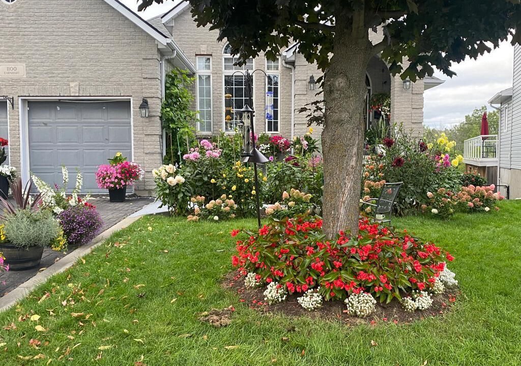 Photo of Outdoor in Amherstview