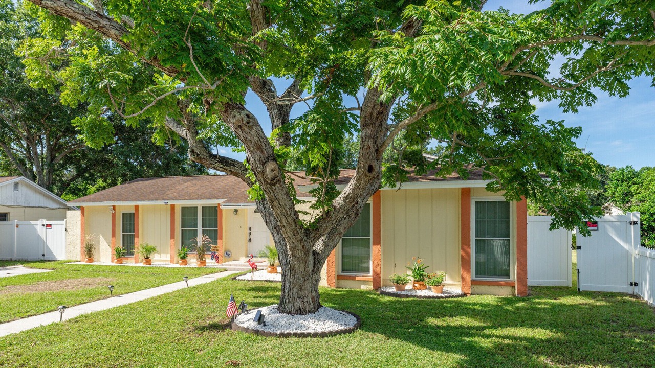 Photo of Outdoor in Valrico
