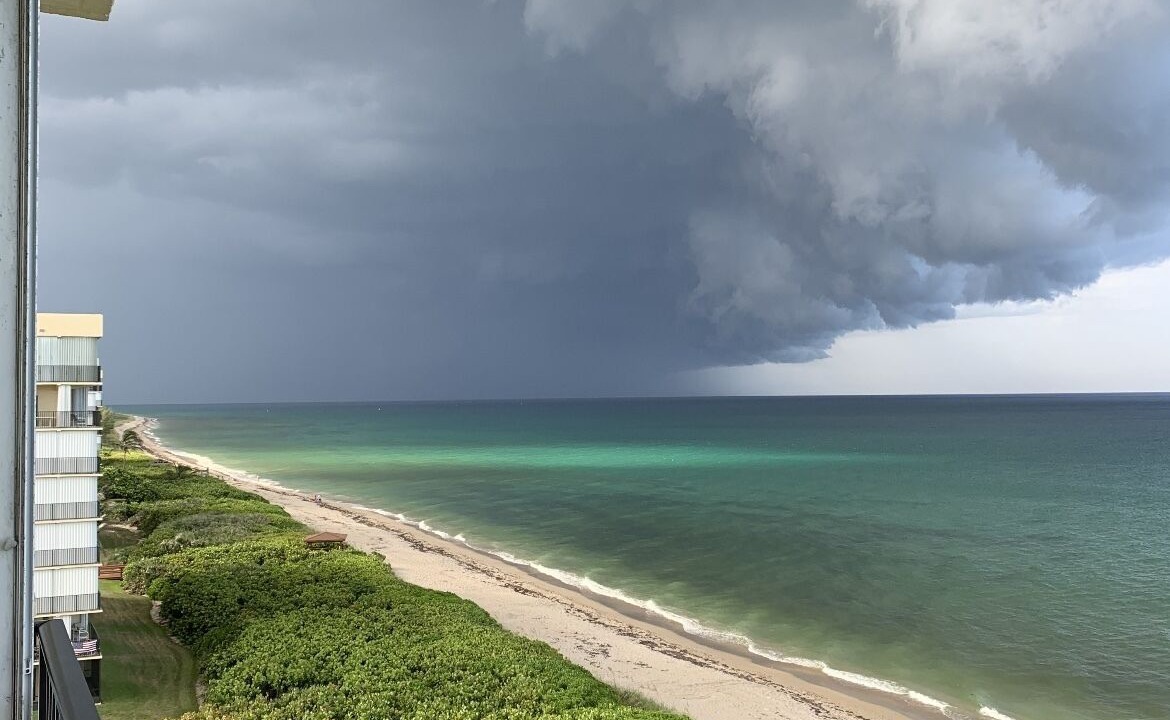 Photo of Others in Hutchinson Island South