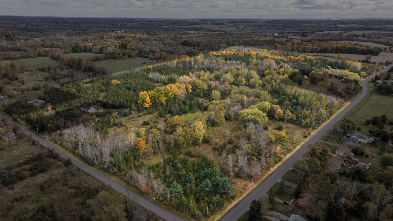 Photo of Outdoor in Greater Napanee