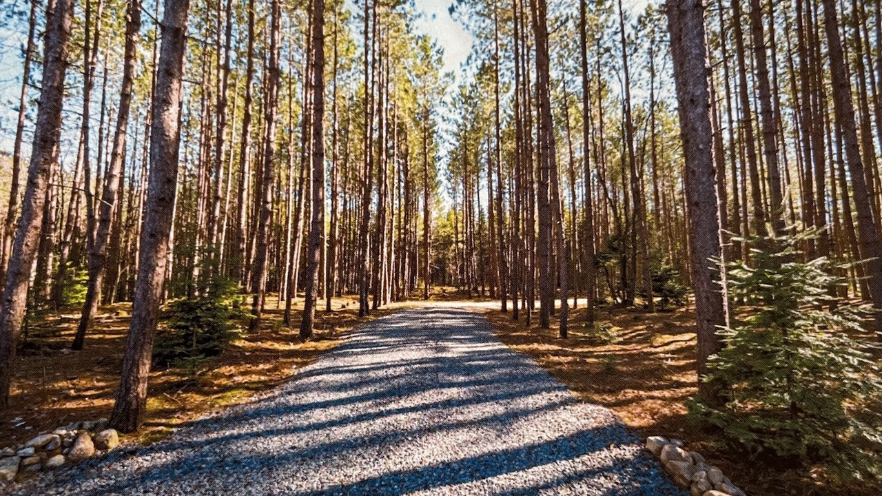 Photo of Outdoor in Perry