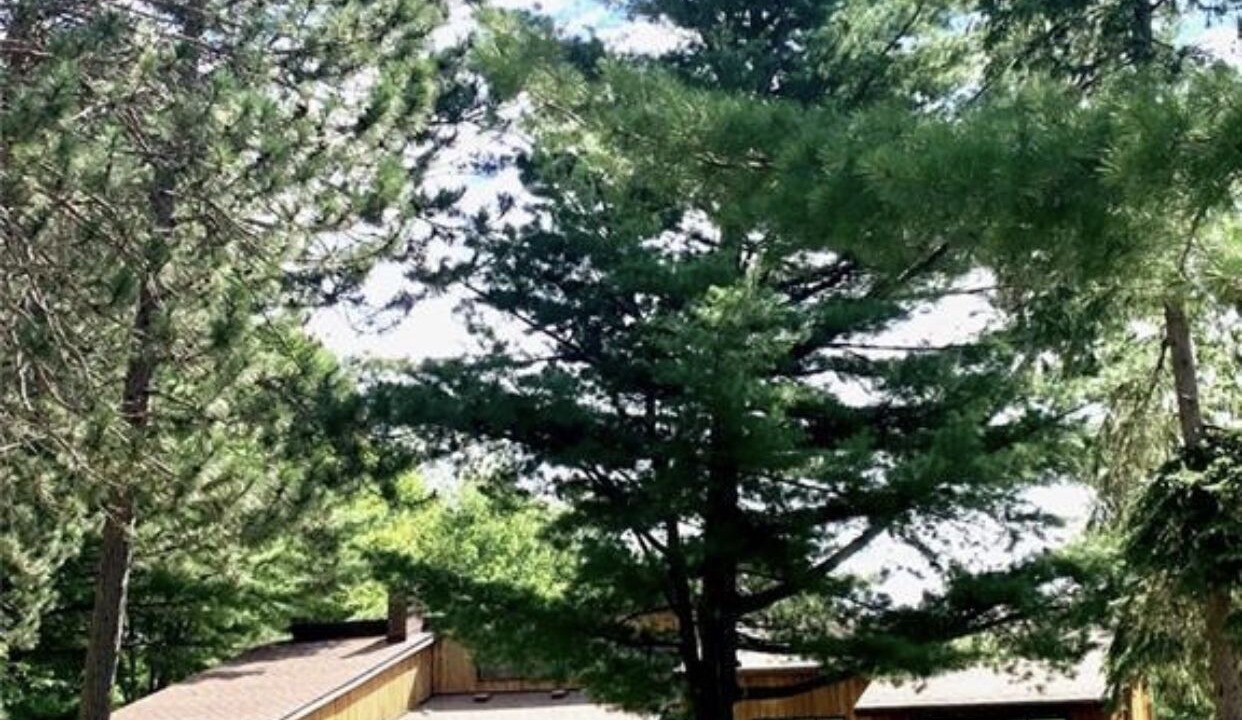 Photo of Outdoor in Callander
