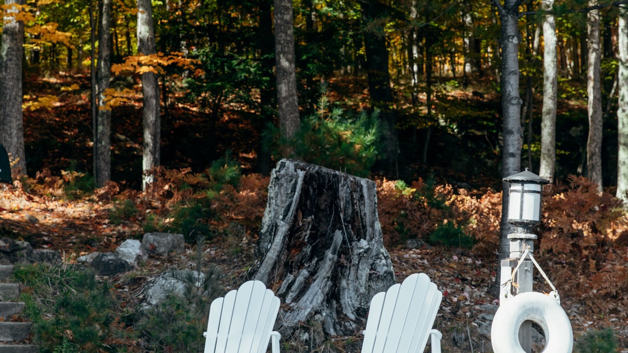 Photo of Outdoor in Baysville