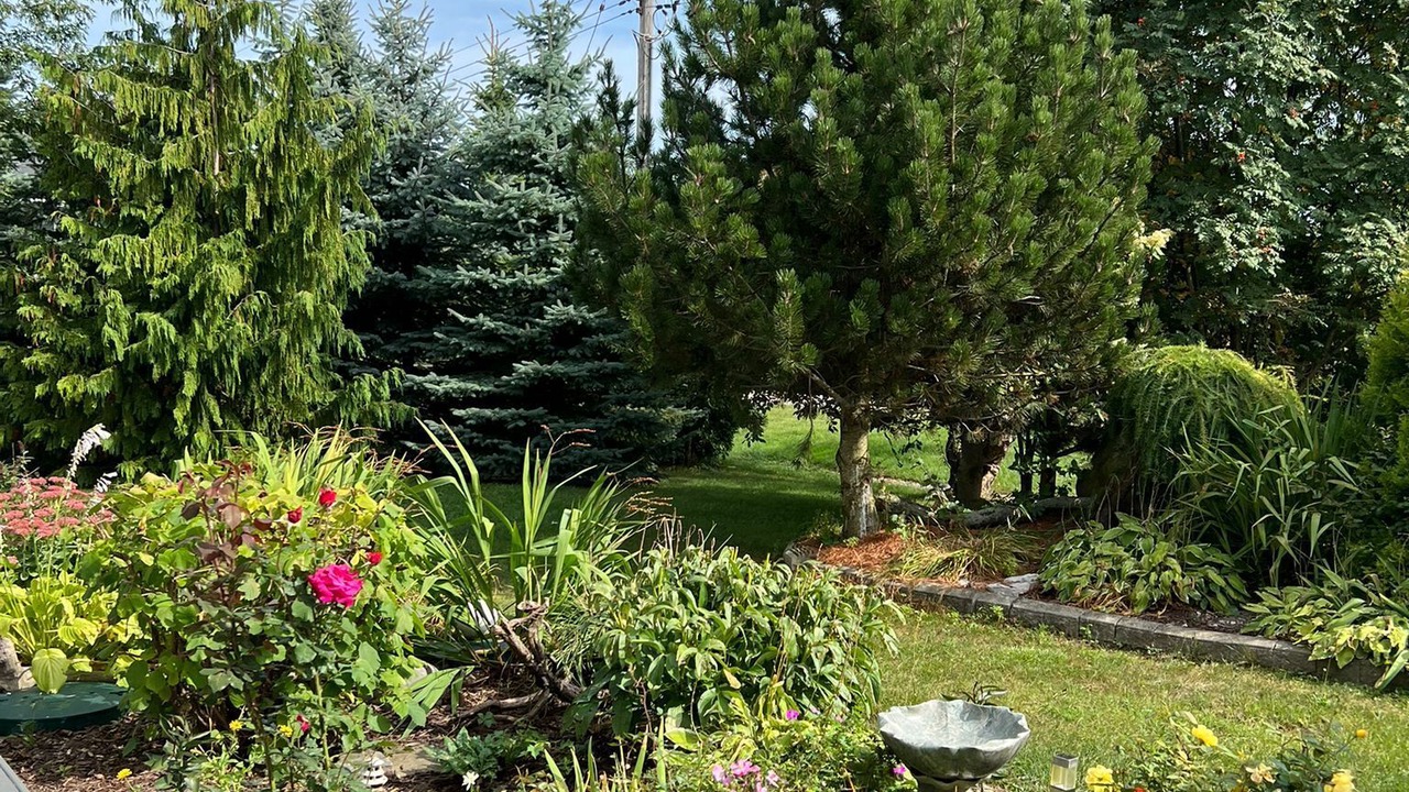Photo of Outdoor in Ashfield-Colborne-Wawanosh