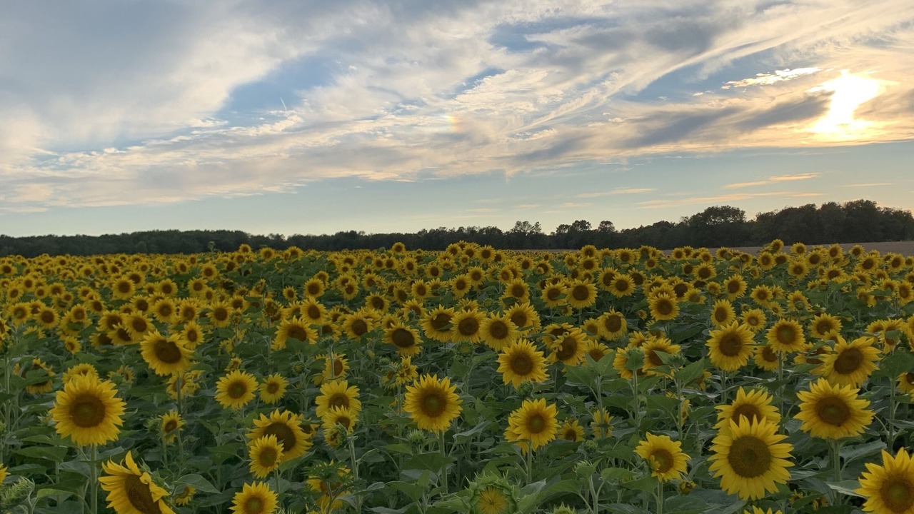 Photo of Outdoor in Cherry Valley