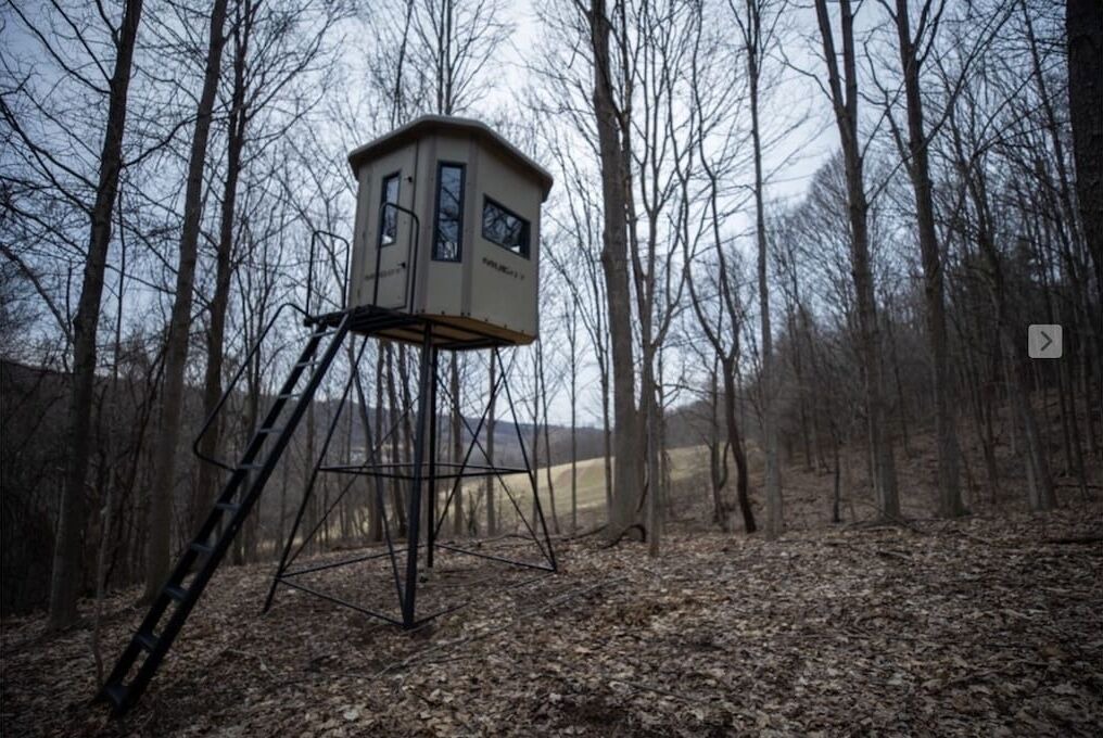 Photo of Others in Canastota
