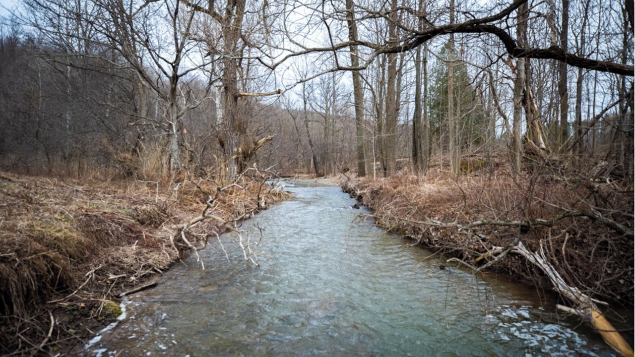 Photo of Outdoor in Canastota