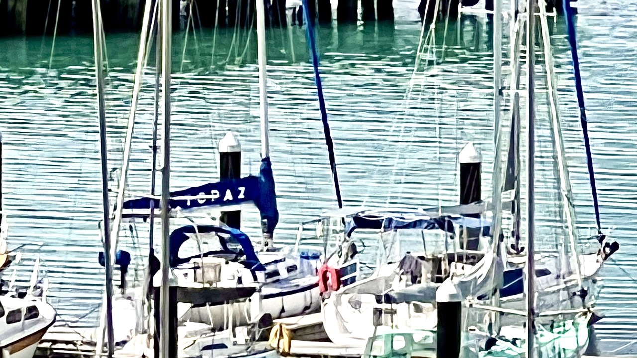 Photo of Others in Lyttelton