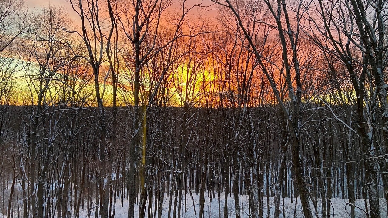 Photo of Others in Oro-Medonte