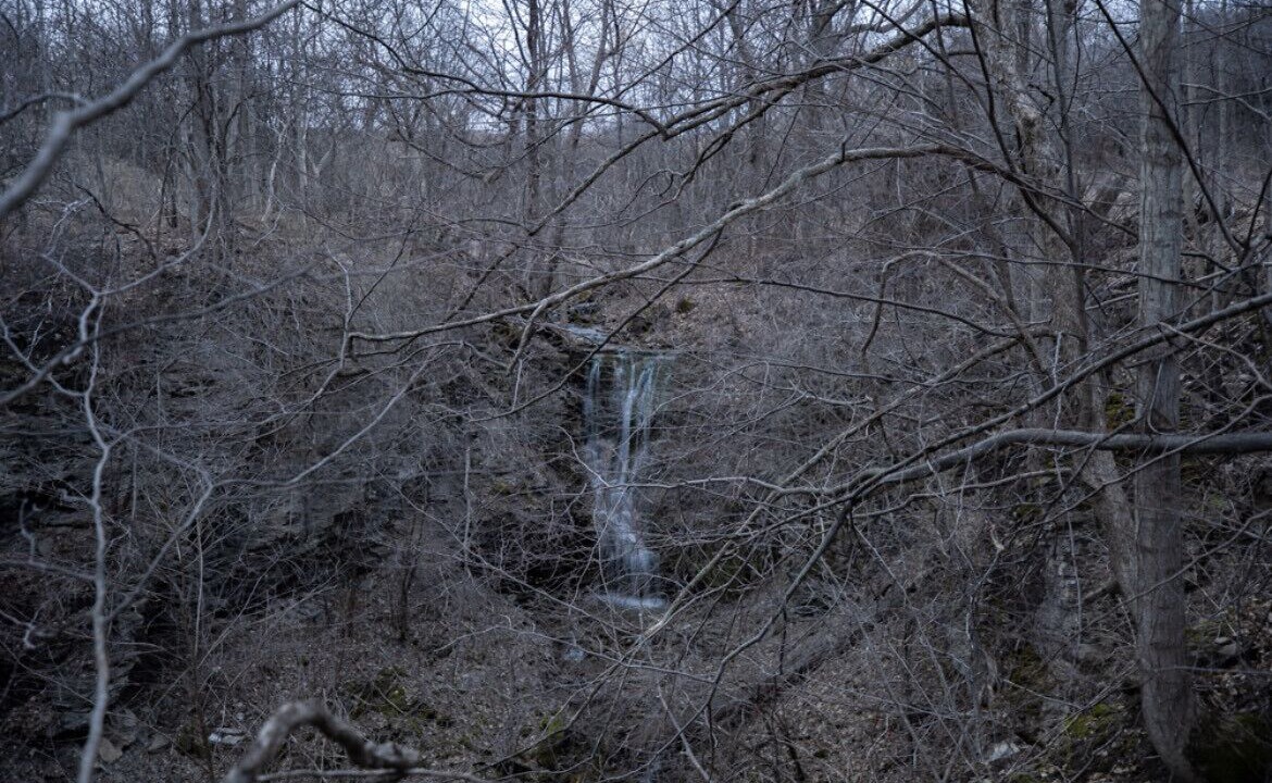 Photo of Others in Oneida