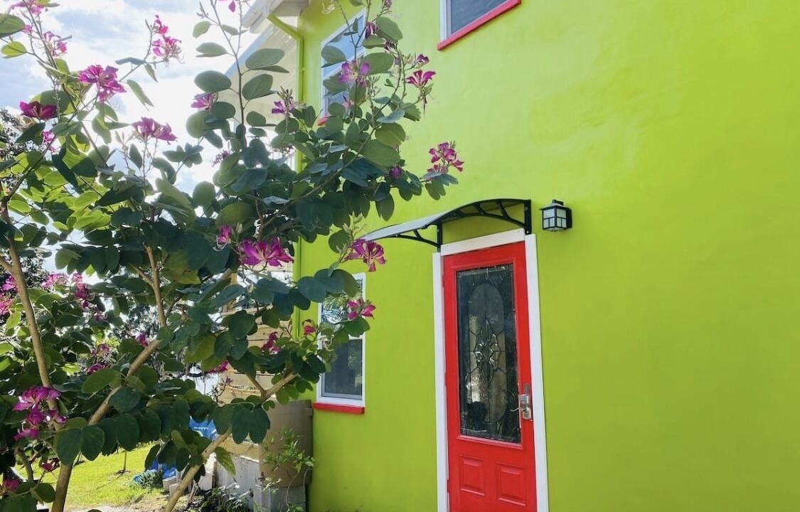 Photo of Outdoor in Old Seminole Heights