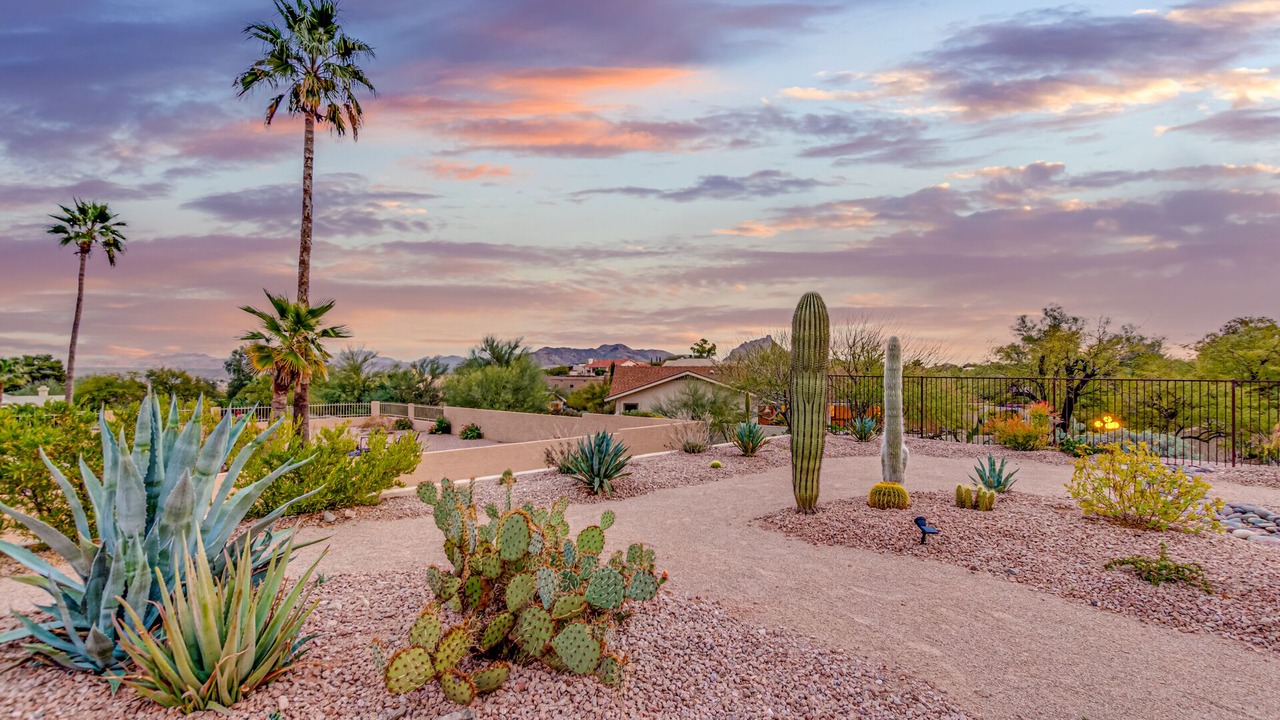 Photo of Others in Fountain Hills