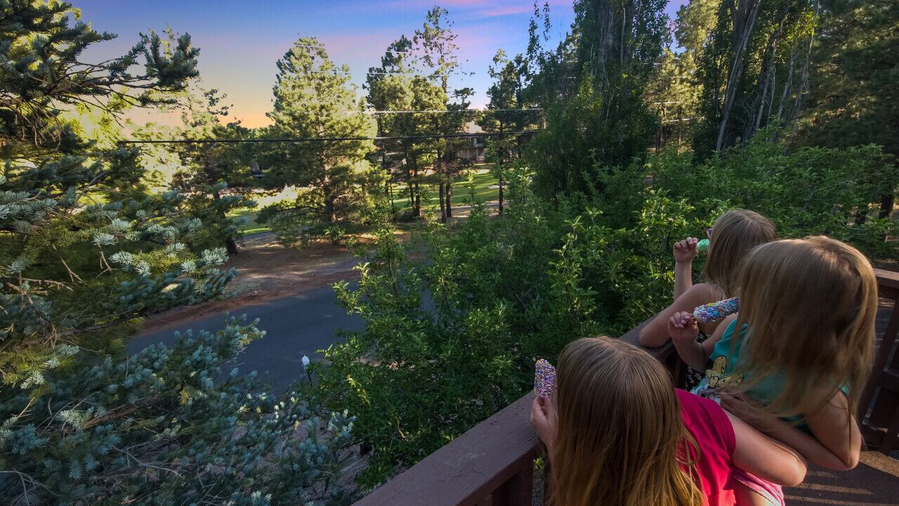 Photo of Others in Flagstaff