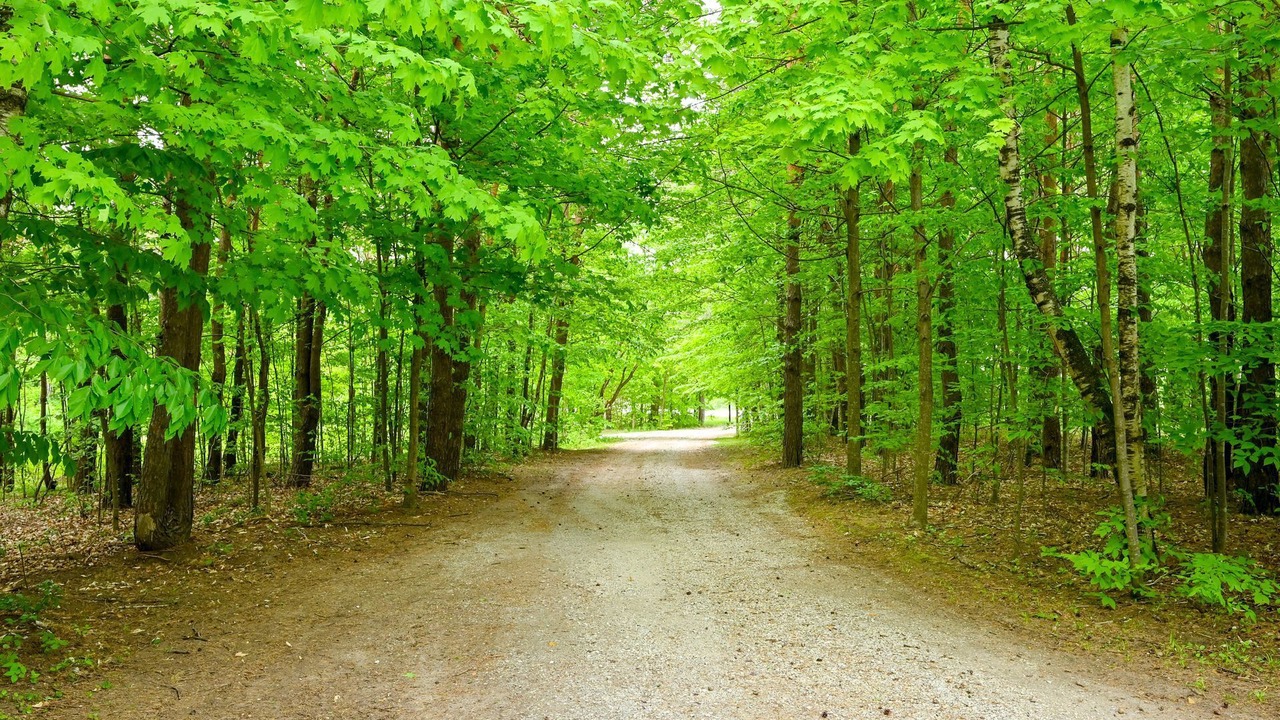 Photo of Outdoor in Mulmur