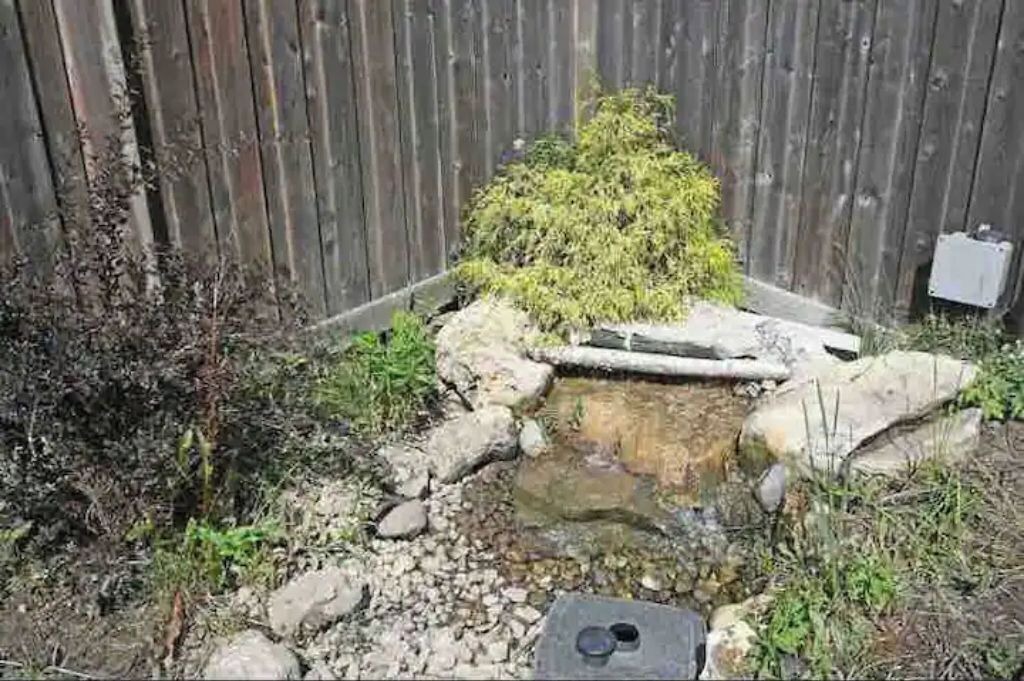 Photo of Outdoor in Caledon