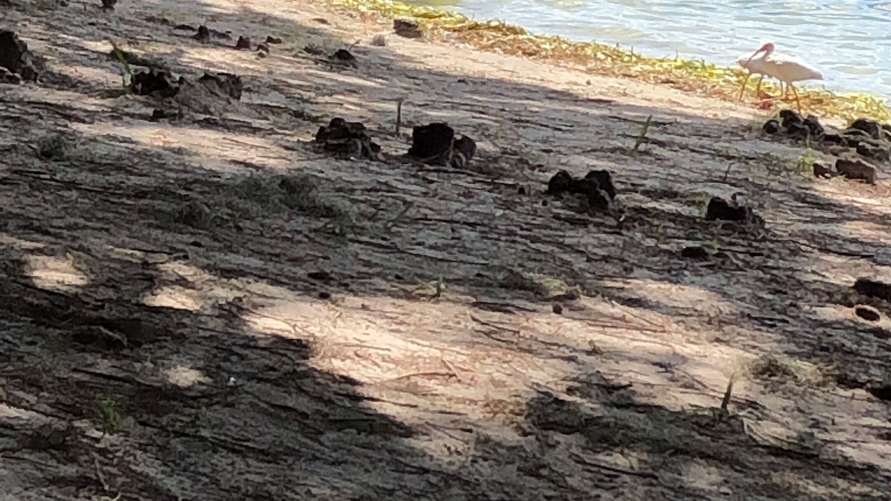 Photo of Others in Winter Park
