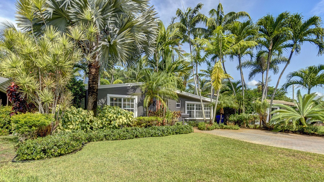 Photo of Outdoor in Poinsettia Heights