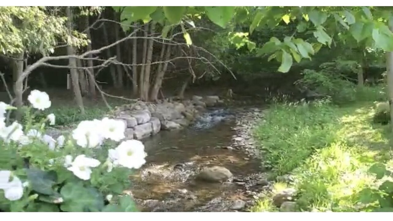 Photo of Outdoor in Creemore