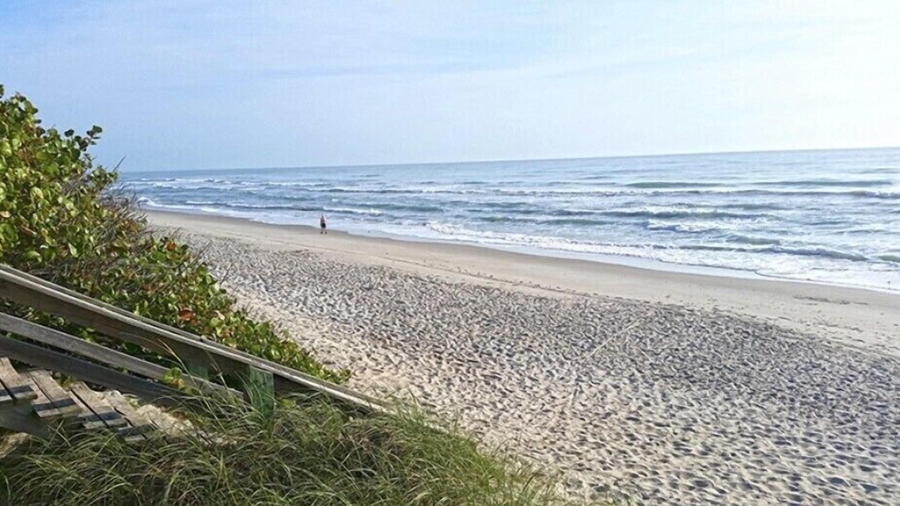 Photo of Others in South Patrick Shores
