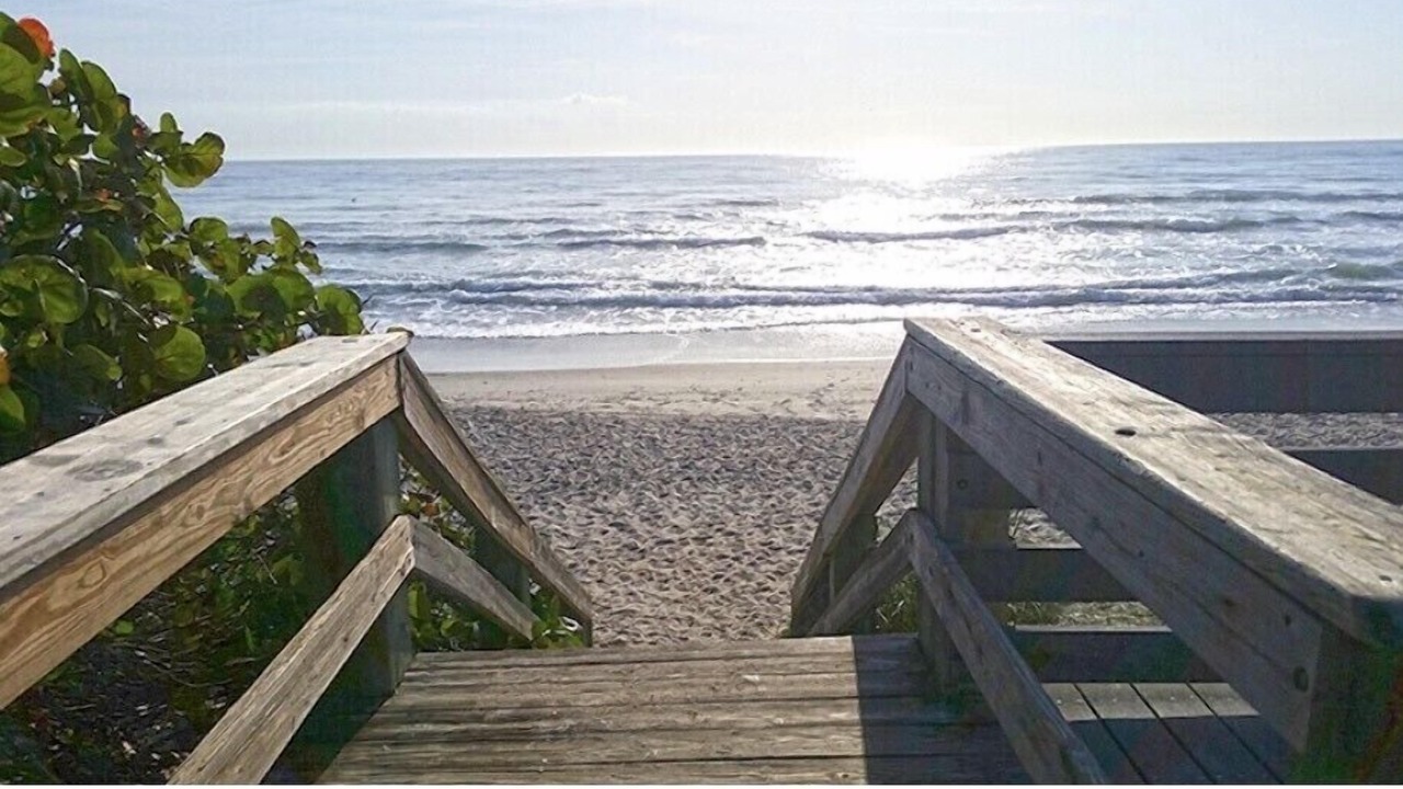 Photo of Others in South Patrick Shores