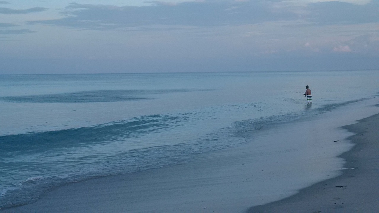 Photo of Others in Melbourne Beach