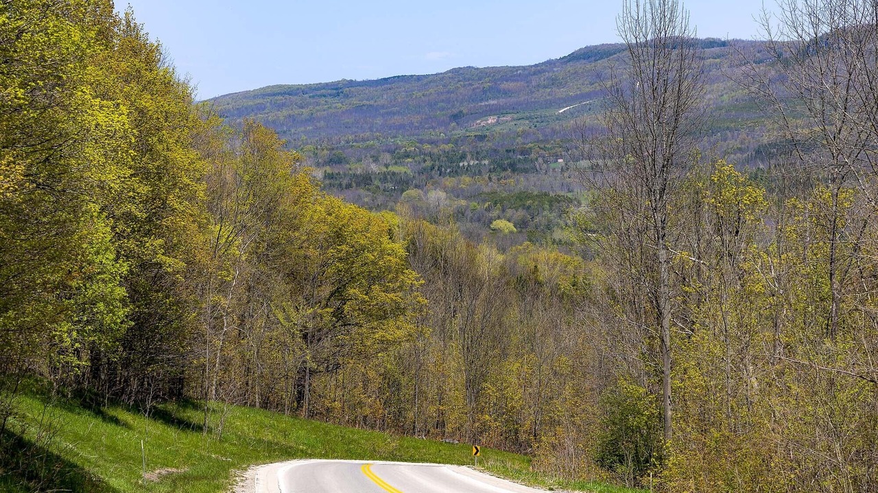 Photo of Others in Markdale