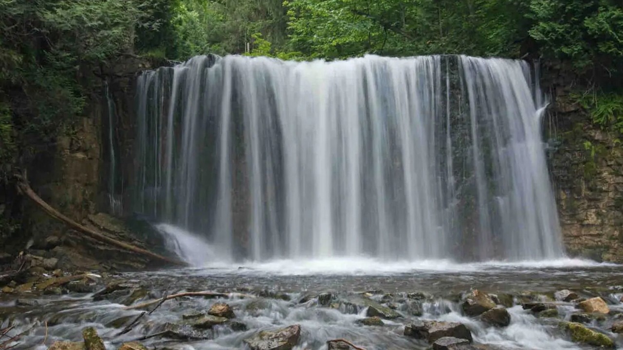 Photo of Outdoor in Markdale