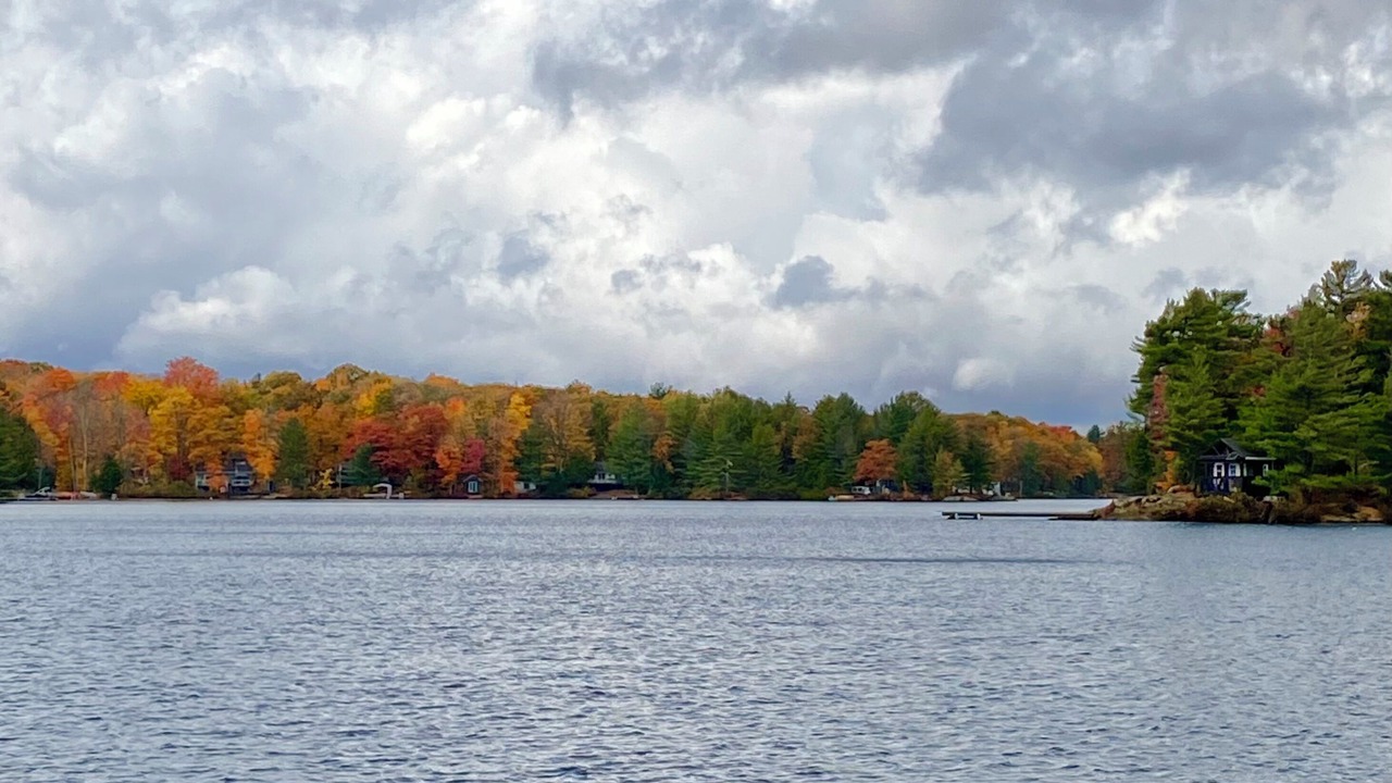 Photo of Outdoor in Muskoka Lakes