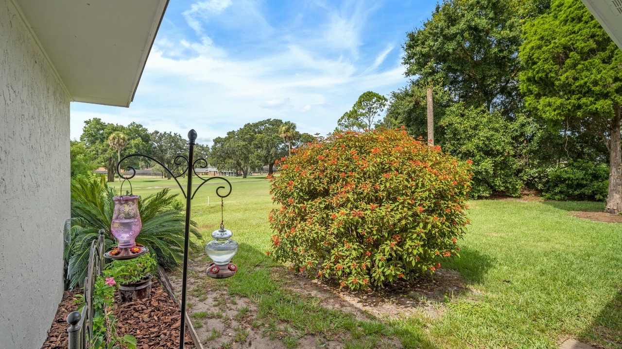 Photo of Outdoor in East County Civic Group