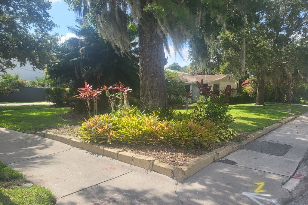 Photo of Outdoor in Winter Park