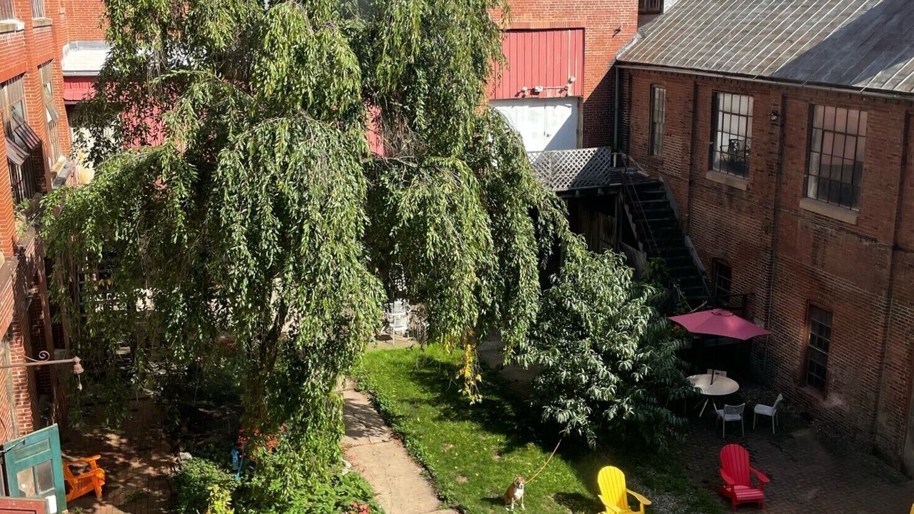 Photo of Outdoor in Williamsport