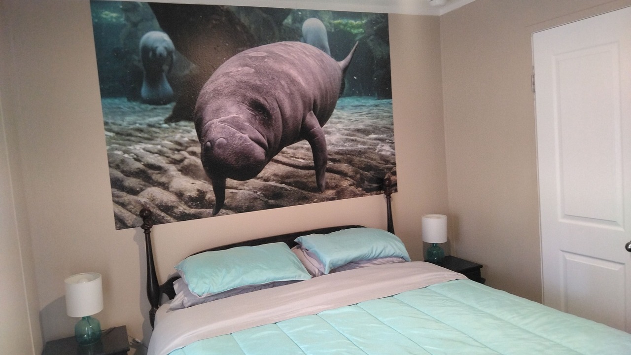 Photo of Bedroom in Weeki Wachee Gardens