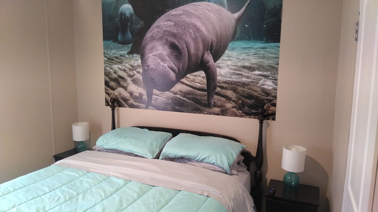 Photo of Bedroom in Weeki Wachee Gardens