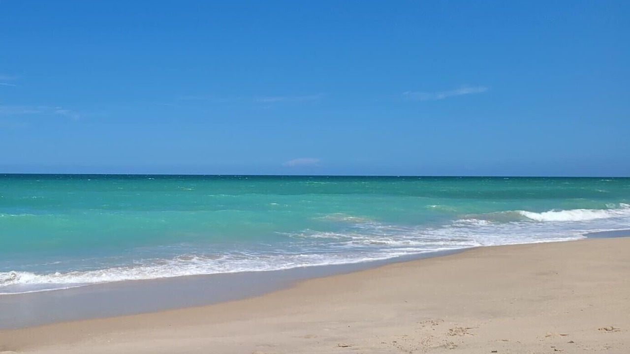 Photo of Others in Floridana Beach