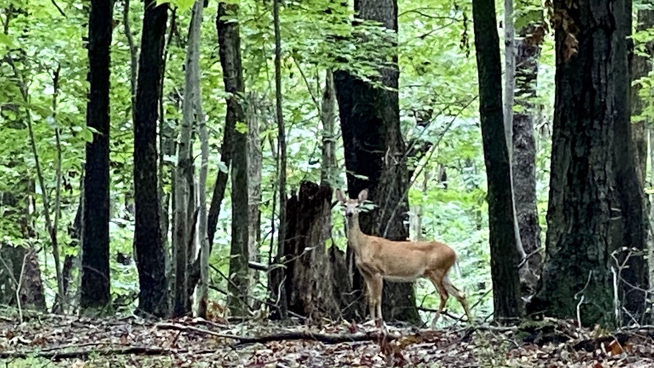 Photo of Others in Bedford