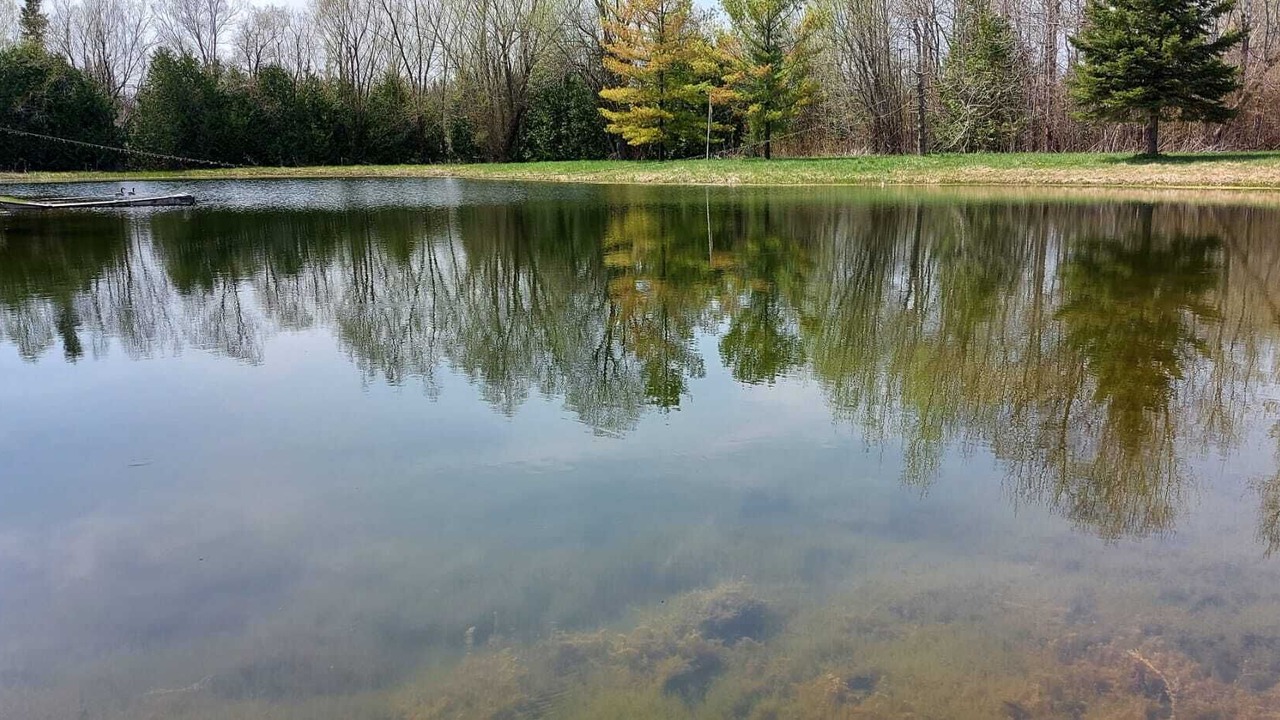 Photo of Outdoor in Melancthon