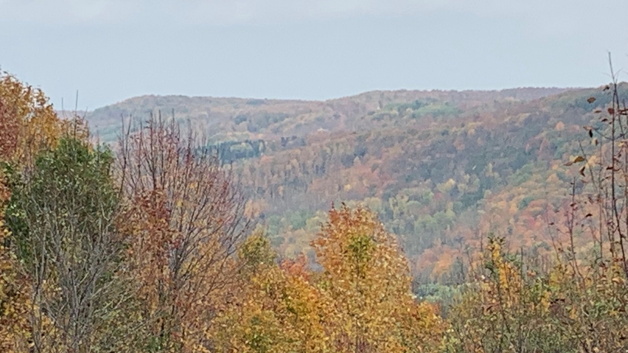Photo of Others in Flesherton