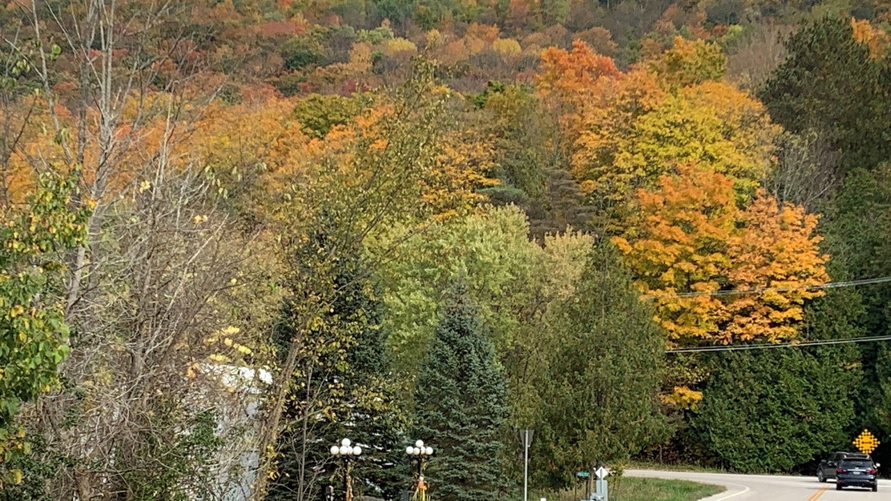 Photo of Others in Flesherton