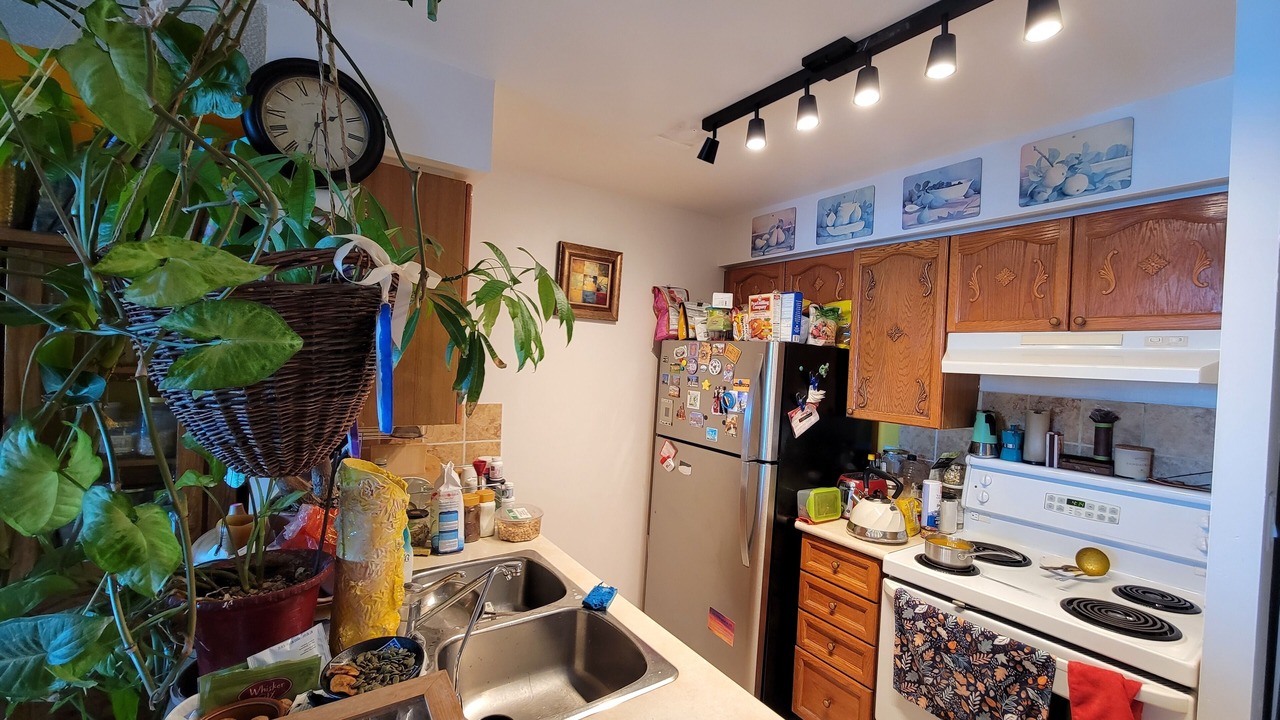 Photo of Kitchen in Willowdale