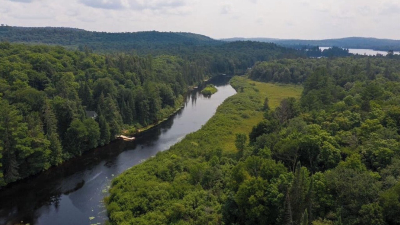 Photo of Outdoor in Algonquin Highlands