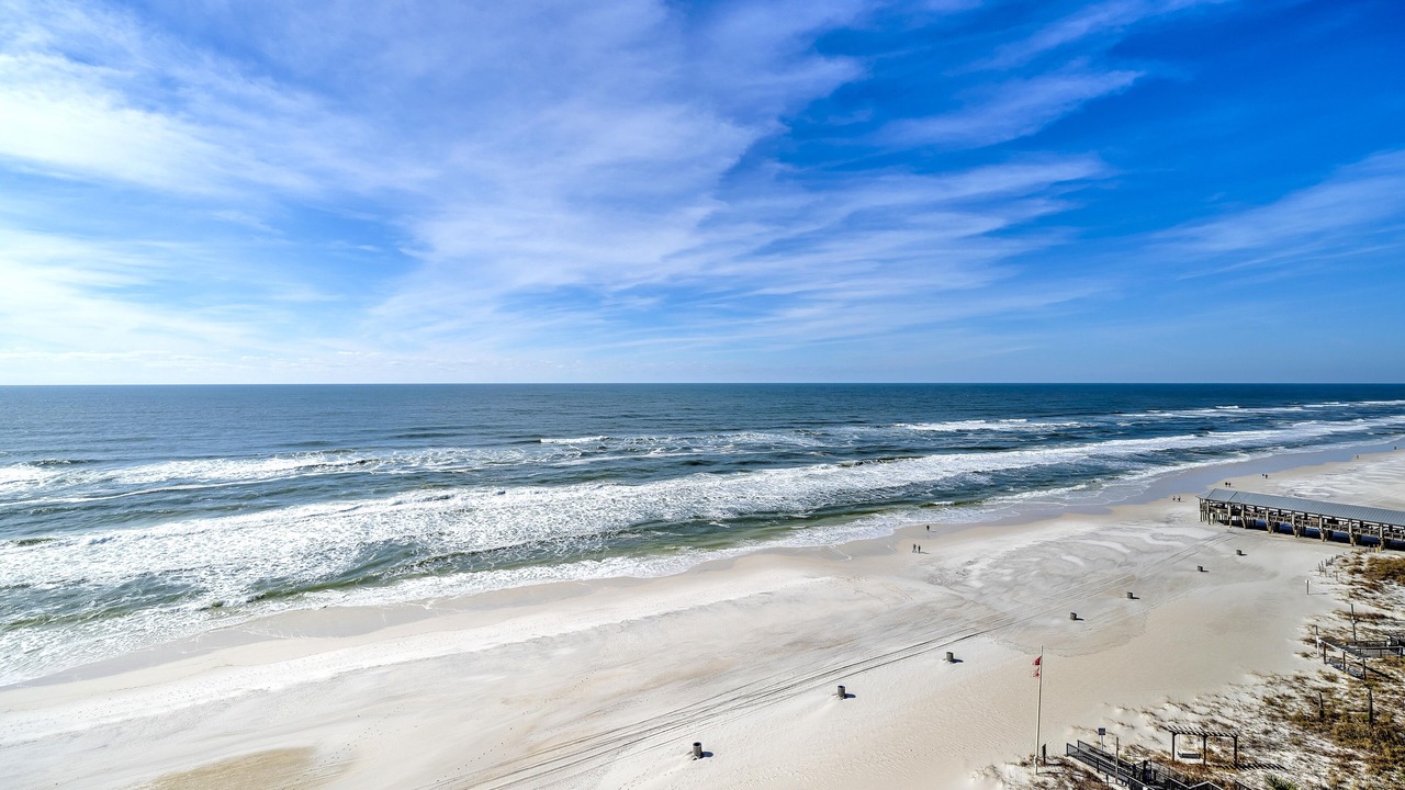 Photo of Others in Panama City Beach