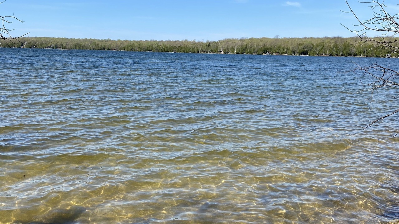 Photo of Others in Northern Bruce Peninsula
