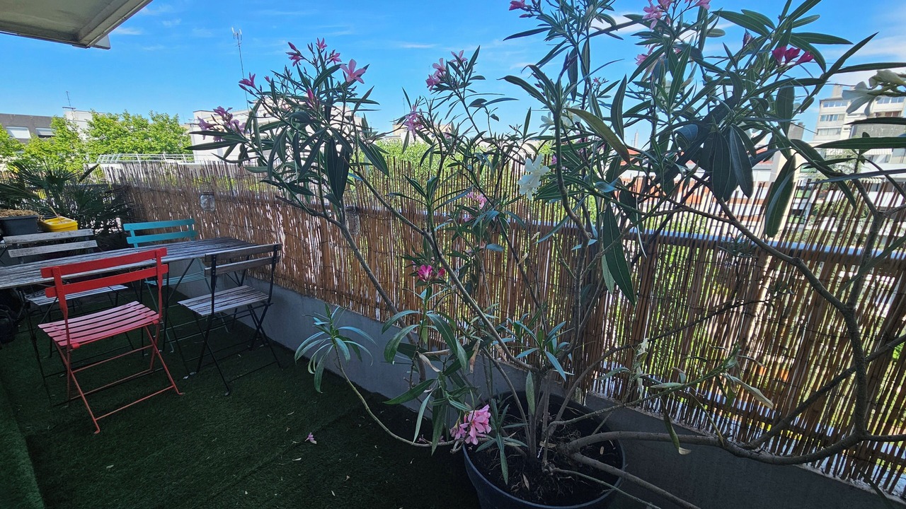 Photo of Outdoor in Saint-Fargeau