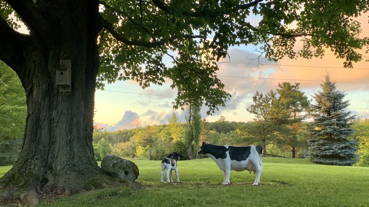 Photo of Others in Grey Highlands