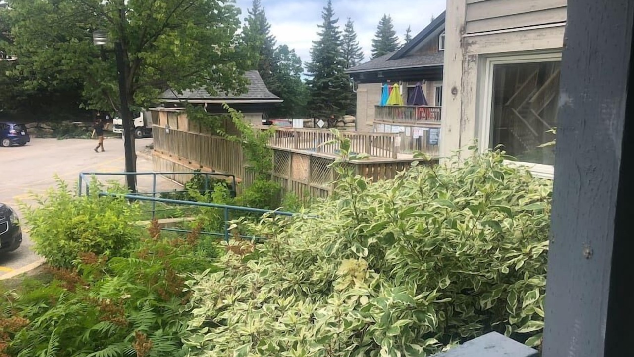 Photo of Outdoor in Craigleith