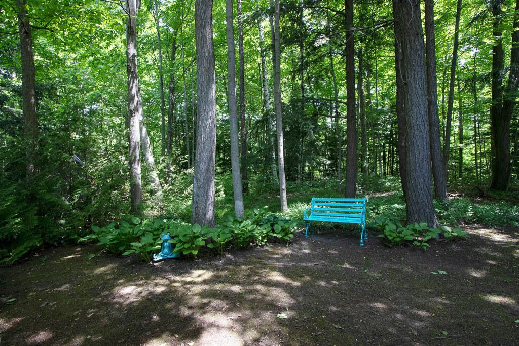 Photo of Others in Bayfield