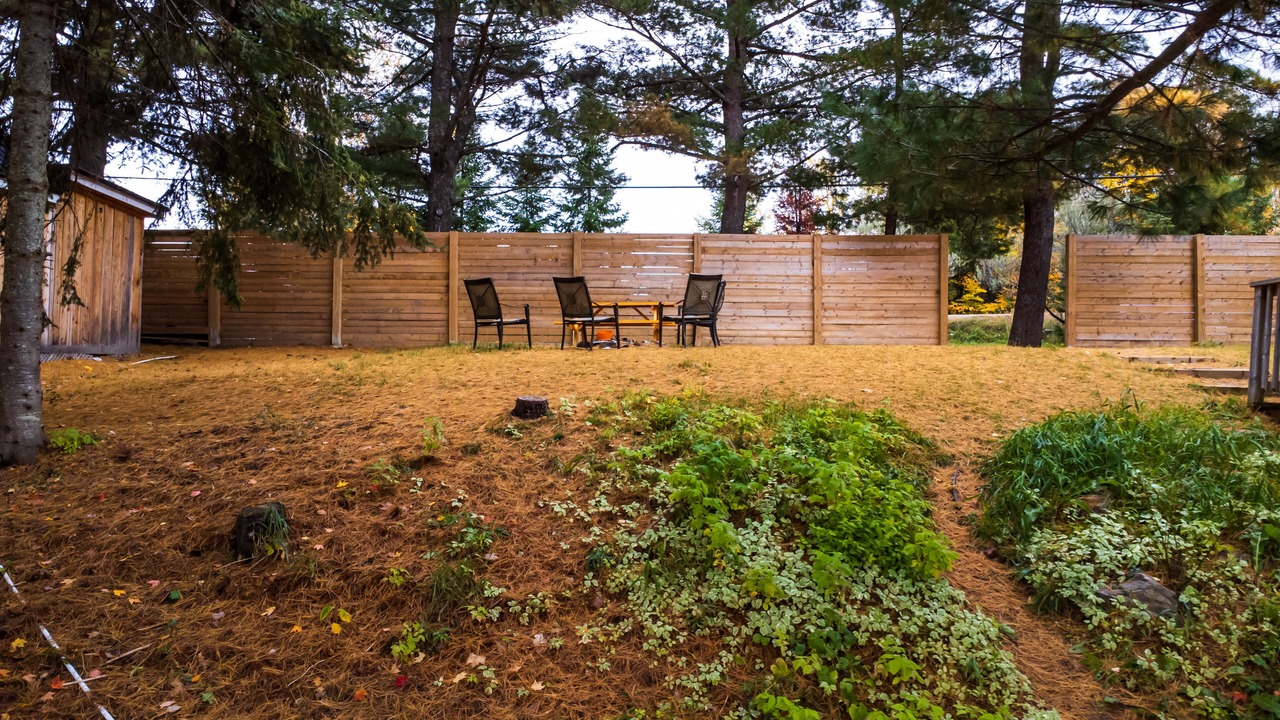 Photo of Outdoor in Muskoka Lakes