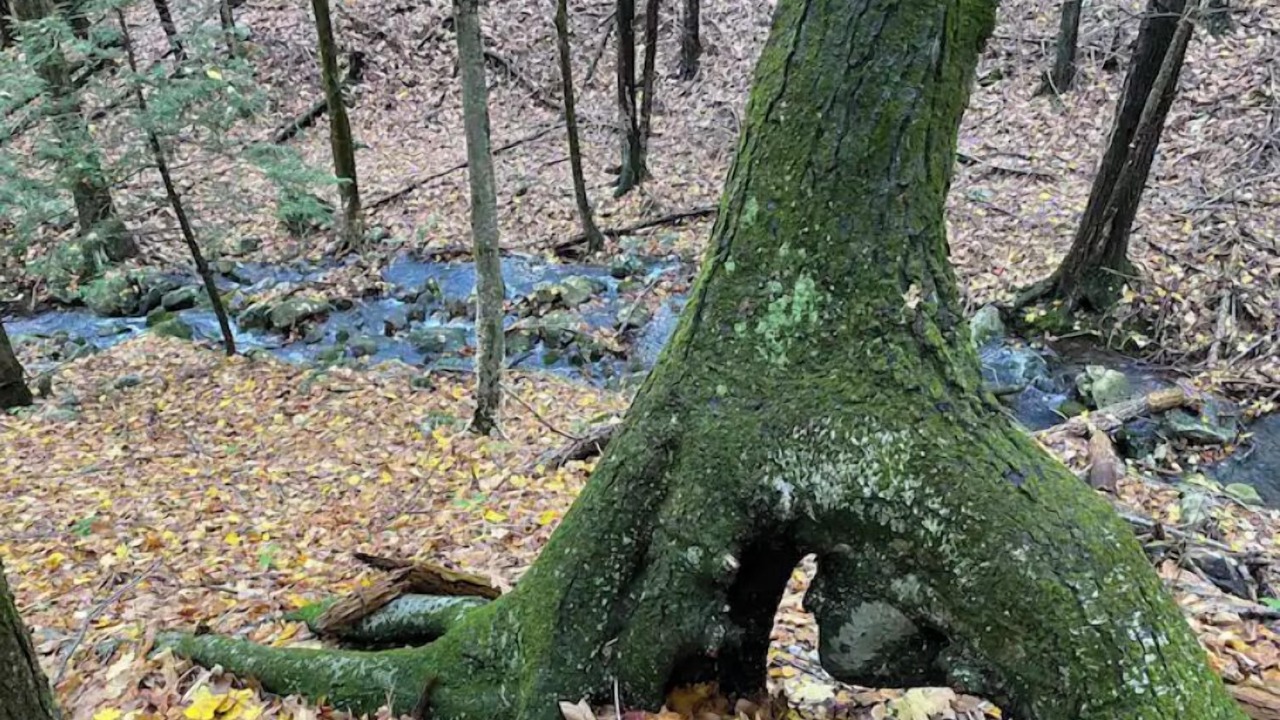 Photo of Outdoor in Kerhonkson