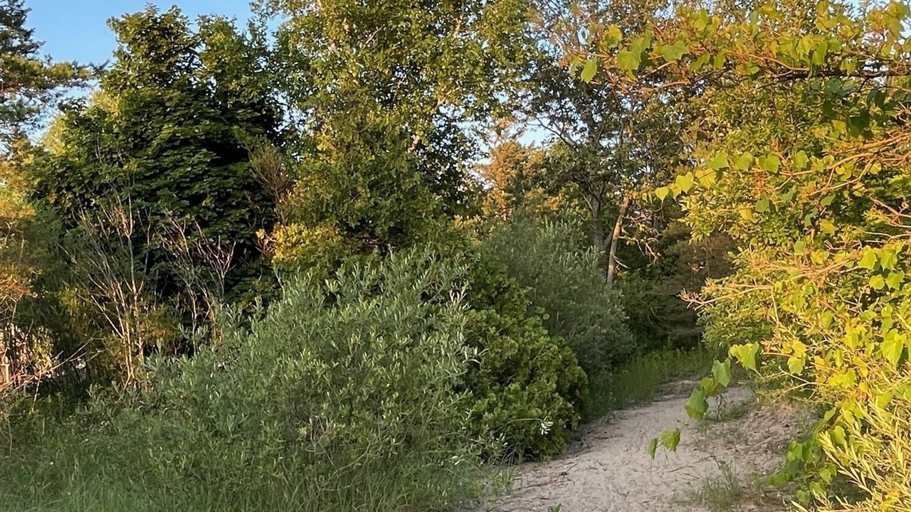 Photo of Others in Huron-Kinloss
